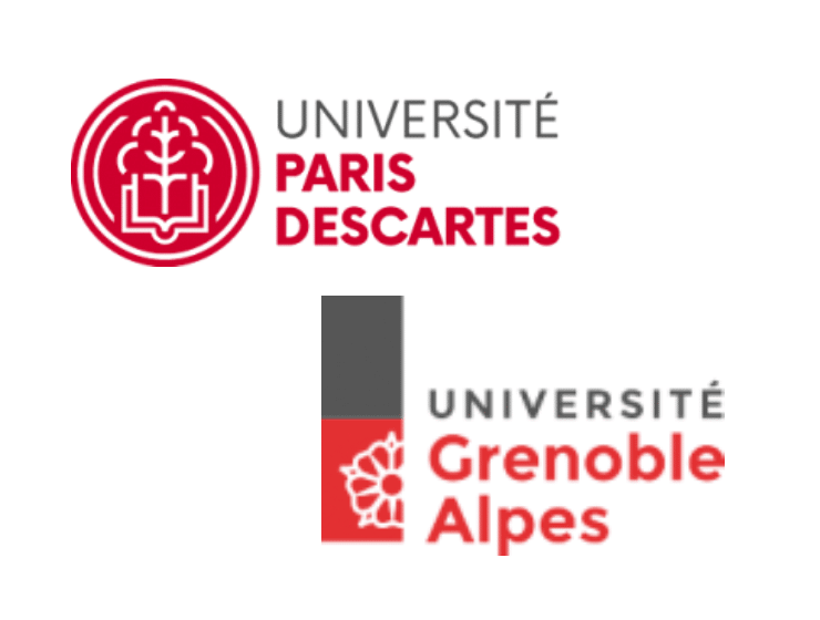 université du DIU Prise en charge des violences faites aux femmes